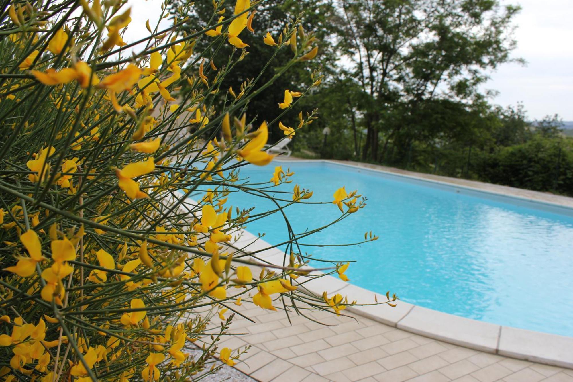 Agriturismo La Valle Del Vento Urbino Exterior foto